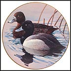 Lesser Scaup Collector Plate by Rod Lawrence MAIN