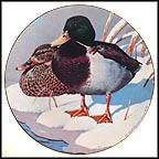 Mallards Collector Plate by Rod Lawrence MAIN