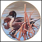 Northern Pintails Collector Plate by Rod Lawrence MAIN