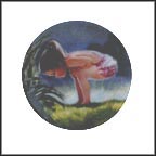 Small Wonder Collector Plate by Donald Zolan MAIN
