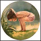 Small Wonder Collector Plate by Donald Zolan MAIN
