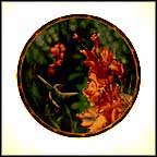 Calliope Hummingbird With Gladioli Collector Plate by Cyndi Nelson MAIN