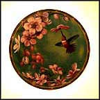 Rufous Hummingbird With Apple Blossoms Collector Plate by Cyndi Nelson MAIN