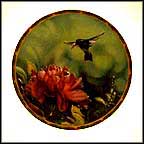 White-Eared Hummingbird With Peonies Collector Plate by Cyndi Nelson MAIN