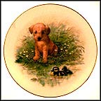 Just Passing By Collector Plate by Joseph Giordano MAIN