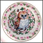 Whoo Me? Collector Plate by Heidi Lindy MAIN