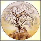 Patience Collector Plate by Gustavo Novoa MAIN