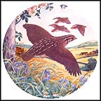 Quail On The Wing Collector Plate by Derek Braithwaite MAIN
