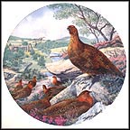 Red Grouse Collector Plate by Derek Braithwaite MAIN