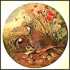 Red-Legged Partridge Collector Plate by Derek Braithwaite MAIN