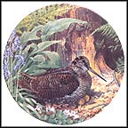 Woodcock Collector Plate by Derek Braithwaite MAIN