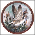 Flying In Collector Plate by Lynn Kaatz MAIN