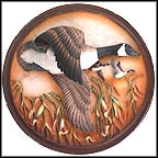 In Flight Collector Plate by Lynn Kaatz MAIN