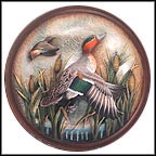 Taking Off Collector Plate by Lynn Kaatz MAIN