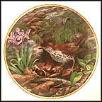 Wood Thrush Collector Plate by Linda Thompson MAIN