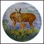 A Reassuring Touch Collector Plate by Yin-Rei Hicks MAIN