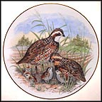 Bobwhite Quail Collector Plate by A. J. Heritage MAIN