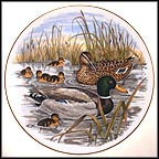 Mallard Duck Collector Plate by A. J. Heritage MAIN