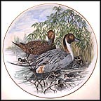 Pintail Duck Collector Plate by A. J. Heritage MAIN