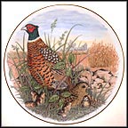 Ring-Necked Pheasant Collector Plate by A. J. Heritage MAIN