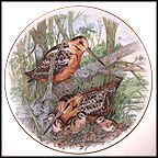 American Woodcock Collector Plate by A. J. Heritage MAIN