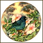 Indigo Bunting Collector Plate by A. E. Ruffing MAIN
