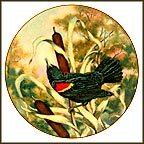Red Wing Blackbird Collector Plate by A. E. Ruffing MAIN