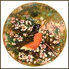American Robin Collector Plate by A. E. Ruffing MAIN