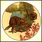 Beaver Collector Plate by Sy And Dot Barlowe MAIN