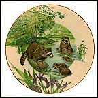 Raccoon Collector Plate by Sy And Dot Barlowe MAIN