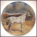 The Appaloosa Collector Plate by Susie Whitcombe MAIN