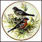 Chaffinch Collector Plate by Ursula Band MAIN