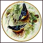 Corsican Nuthatch Collector Plate by Ursula Band MAIN