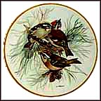 Firecrest Collector Plate by Ursula Band MAIN