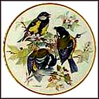 Great Titmouse Collector Plate by Ursula Band MAIN