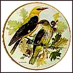 Golden Oriole Collector Plate by Ursula Band MAIN