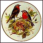 Red Robin Collector Plate by Ursula Band MAIN