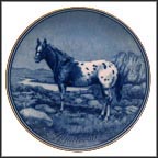 Appaloosa Collector Plate by Poul T. Christensen MAIN