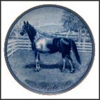 Pinto Collector Plate by Poul T. Christensen MAIN