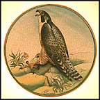 Peregrine Falcon Collector Plate by Vincente Tiziano MAIN