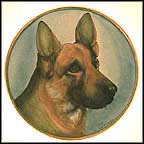 German Shepherd Collector Plate by Vincente Tiziano MAIN