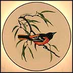 Baltimore Oriole Collector Plate by Colin Newman MAIN