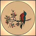 Bluebird Collector Plate by Colin Newman MAIN