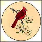Cardinal Collector Plate by Colin Newman MAIN