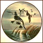 Bluebills Coming In Collector Plate by Lynn Kaatz MAIN