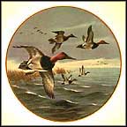 Canvasbacks Breaking Away Collector Plate by Lynn Kaatz MAIN