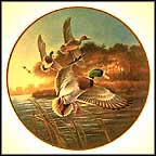 Mallards At Sunrise Collector Plate by Lynn Kaatz MAIN