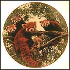 Eyes On The New Day Collector Plate by Greg Beecham MAIN