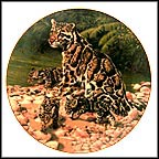 Present Dreams Collector Plate by Greg Beecham MAIN