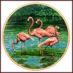 Flamingos Collector Plate by James Faulkner MAIN